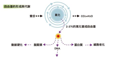 氮气占空气含量78%，为什么生物进化到今天是呼吸氧气而不是氮气?