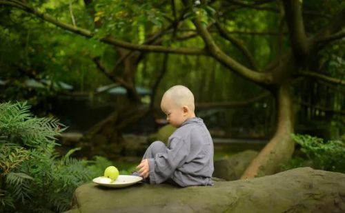 调教幼僧——印祖的故事（言传身教篇）