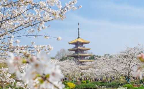 3月来了，这6个宝藏打卡城市一定要去！