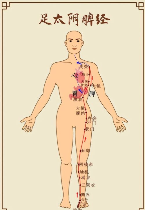 肝喜欢你伸懒腰，脾喜欢你揉肚子，一起来看看五脏喜欢的东西吧！