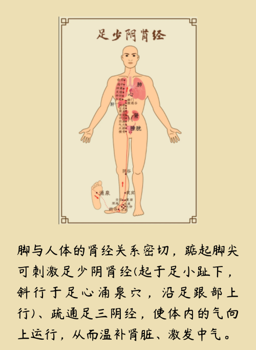 肝喜欢你伸懒腰，脾喜欢你揉肚子，一起来看看五脏喜欢的东西吧！