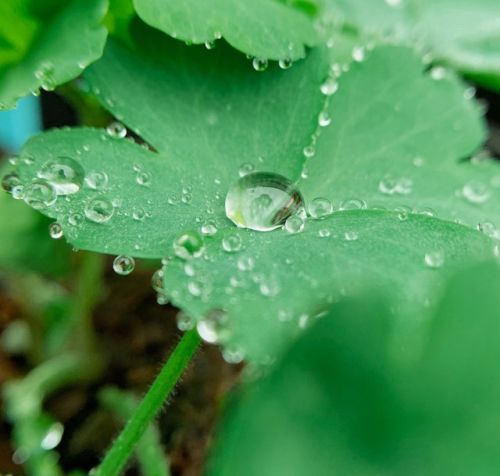 “大水发不发，三月三早看天”，今天是三月三，今夏雨水多吗？