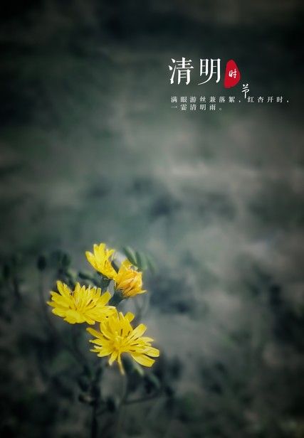 4月2号开始，雨雪大范围分布已确认，清明节冷到哭？看农谚咋说