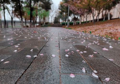 “不怕正月十九晴，就怕正月十九淋”，今日十九日，下雨有啥说法