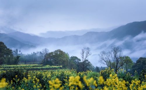 “不怕正月十九晴，就怕正月十九淋”，今日十九日，下雨有啥说法