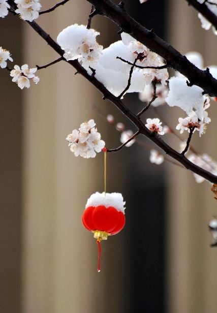 “不怕正月十九晴，就怕正月十九淋”，今日十九日，下雨有啥说法