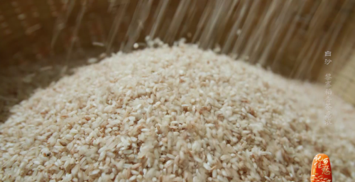 来海南白沙，尝尝黎家人的稻米，品品中国最早的春茶
