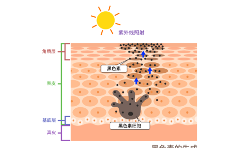 听一句劝：7种你认为的“病”，其实只是人老了！别再花钱过度治