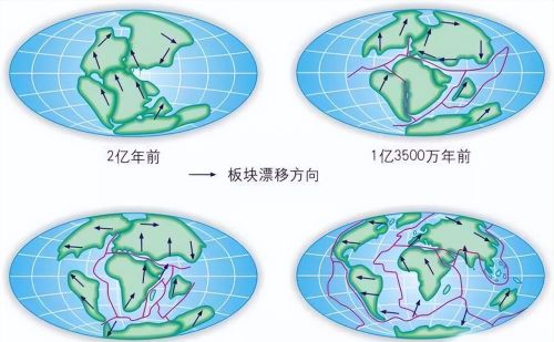 南极冰川下面有异象？科学家发现神秘洞穴，存在人类没见过的生命