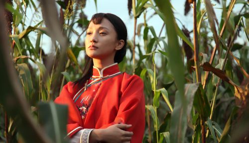 中国电视剧发展40年，为什么一半好作品都是“西北演员”拍的？