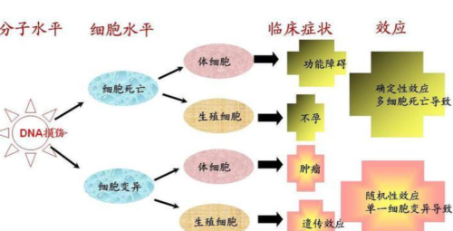 男子误捡了串“钥匙链”，结果住院剔骨割肉，3年花掉300万