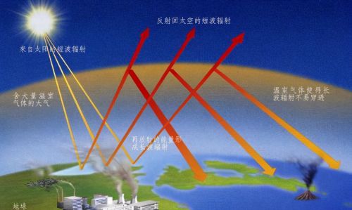 地球第六次生物大灭绝正悄悄来临，科学家：多个迹象已经表明