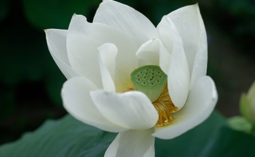 不用花钱的六种布施，每个人都可以去做