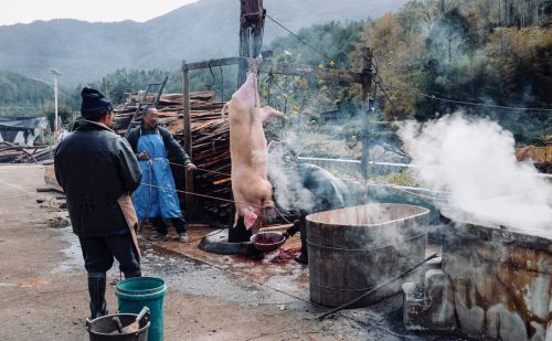 人去世后，为什么很快就会腐烂发臭，而猪肉羊肉不会那么快发臭？