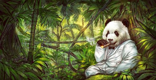 为啥中国喜欢搞熊猫外交，将大熊猫租至外国？老外真喜欢大熊猫吗