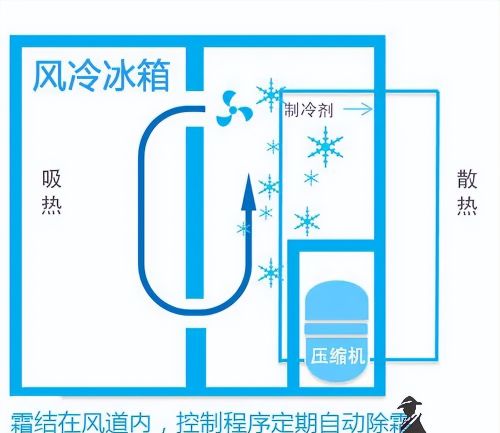 2023年家用冰箱怎么选？装修过来人告诉你，这五大误区要注意