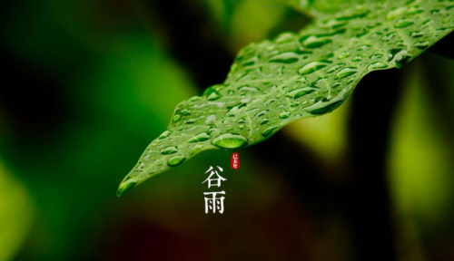 谷雨肾水消耗最大！男性这么做，养肾祛湿健脾胃，不带病入夏！