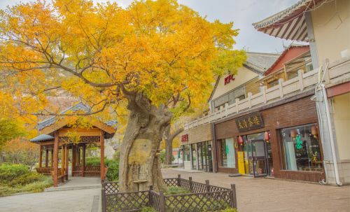 “道渡有缘人”，看看这四大特征，你是否是与道有缘之人？