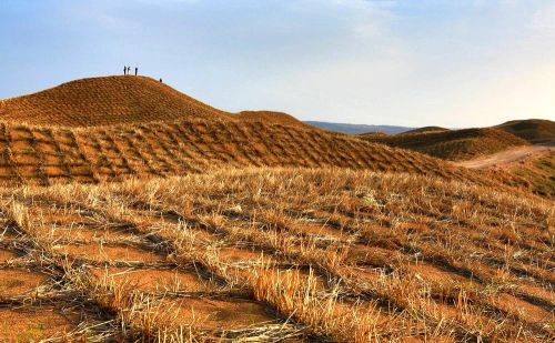 中国发明高效率“吞沙巨兽”，一天吞噬沙漠50亩，在甘肃大获成功