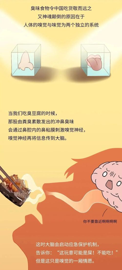 中国人对火锅的喜爱程度究竟有多深？漫画揭开谜底，网友：真香！