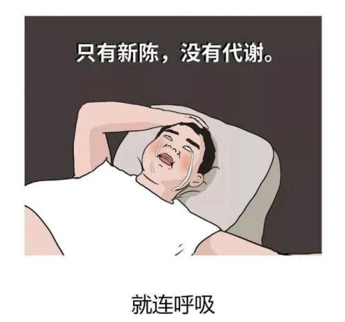 人到了中年人，为什么会胖成球？漫画解释了原因，网友：悲哀！