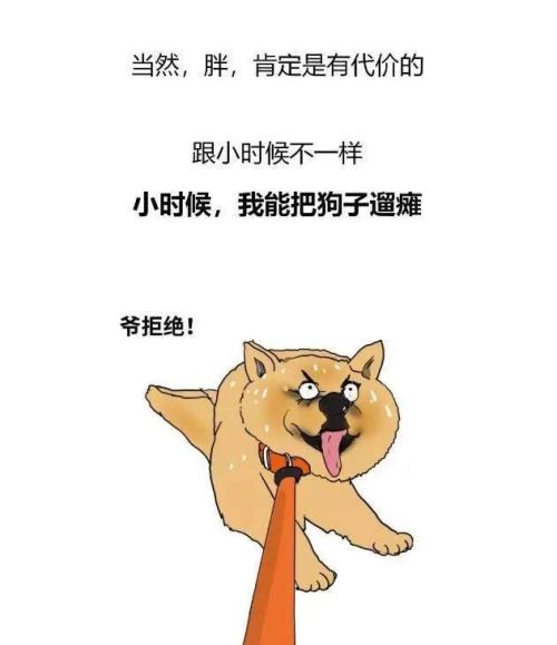 人到了中年人，为什么会胖成球？漫画解释了原因，网友：悲哀！