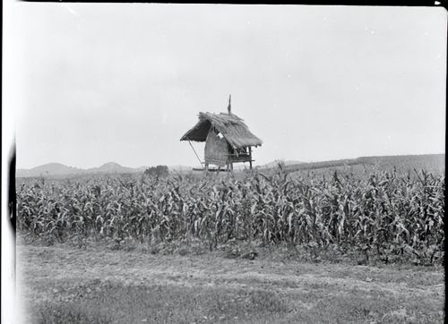 57张四川105年前的珍贵人文老照片，看1918年的巴蜀之地