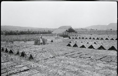 57张四川105年前的珍贵人文老照片，看1918年的巴蜀之地