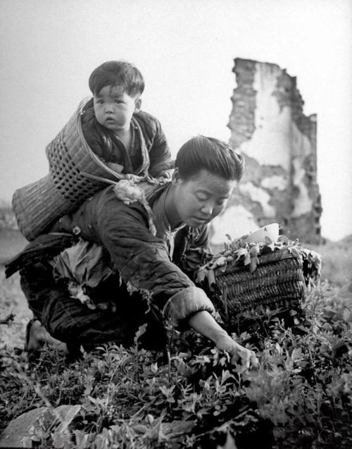 40张老照片看80年前河南湖南大饥荒的真实状况