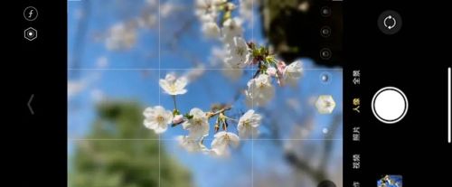 学会这份樱花拍摄技巧，你也能拍好樱花