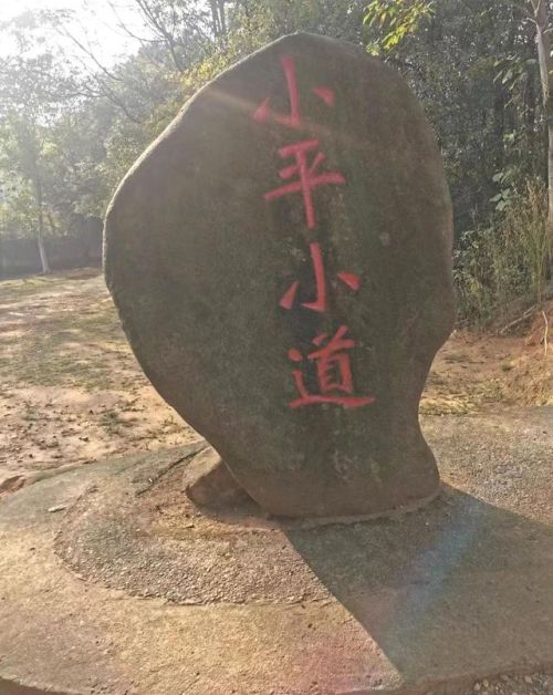 南昌这条“小道”，你“打卡”了吗？