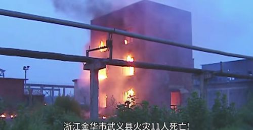 武义工业区厂房火灾致11人死亡，会引起当地官场的怎样地震？