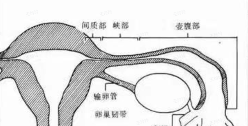 为啥有些女人“一碰就中”？原来她们都有这几个共同特征！