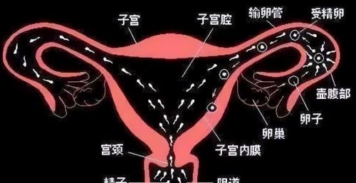 为啥有些女人“一碰就中”？原来她们都有这几个共同特征！