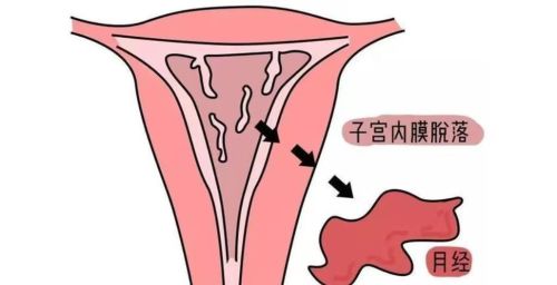 为啥有些女人“一碰就中”？原来她们都有这几个共同特征！