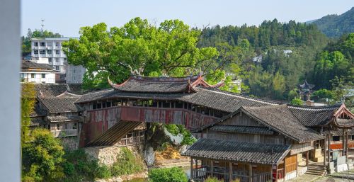 浙南值得一看的非遗景区，坐拥世界最美廊桥，就在温州