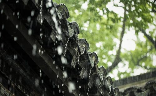 暴雨来临，这与今年提前入汛有关系吗？