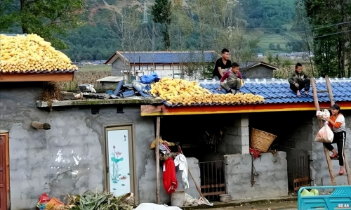 农民注意：卫星随时监测，农村房屋不准翻建，加顶棚晒粮食也不行