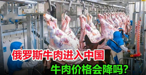 价值9亿7000万！我国进口大量便宜俄罗斯牛肉，牛肉价格会降吗？