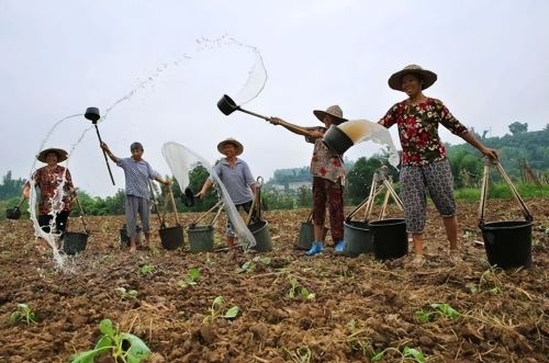 温铁军不要再折腾农民了，不让建房不让搞副业，农民已经很难了