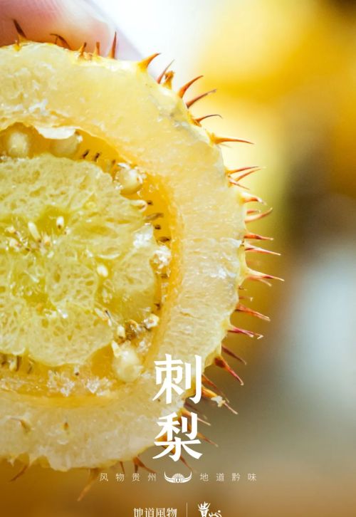 隐藏的水果界“维C之王”，贵州刺梨有多猛？