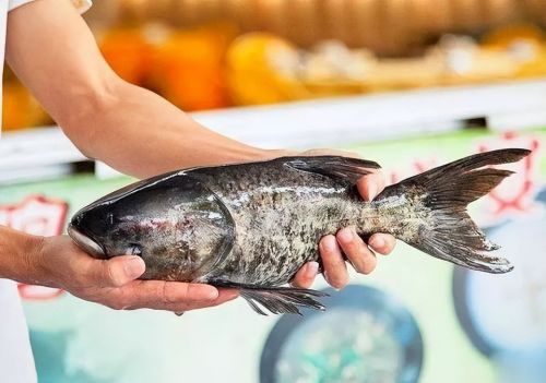 4种鱼请停止食用，或携带甲醛和重金属，鱼贩子：嘘，不要声张