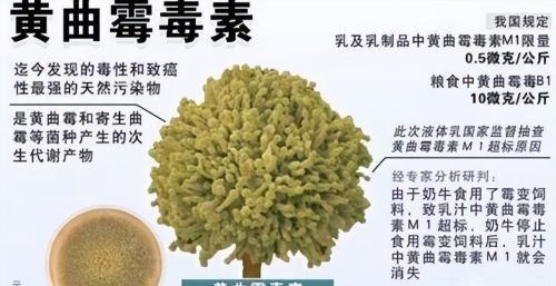 世卫组织公布“一级致癌物”，提醒大家尽量停止食用，不利于健康