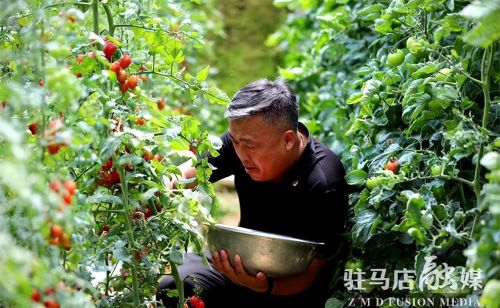 驻马店市驿城区：“餐桌经济”富民增收