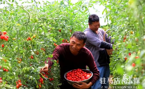 驻马店市驿城区：“餐桌经济”富民增收