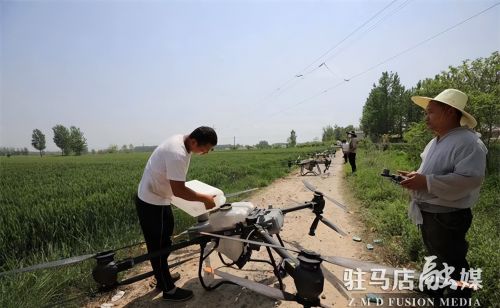 驻马店市驿城区：“飞防”为小麦丰收护航