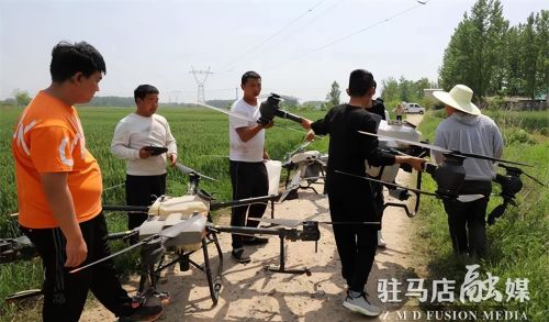 驻马店市驿城区：“飞防”为小麦丰收护航