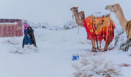 撒哈拉沙漠下大雪了！沙漠被冻，骆驼发抖，这个星球究竟怎么了？