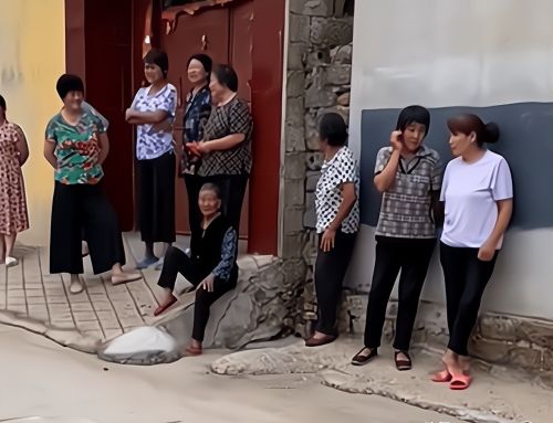 老家80岁的姑父出意外成了植物人，博士儿子的做法，乡亲们难理解