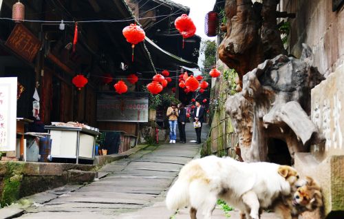 贵州被遗忘的宝藏古镇，十分治愈满分惊喜，厌世了就去小住三五日